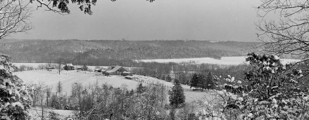 Scenic Snowy View